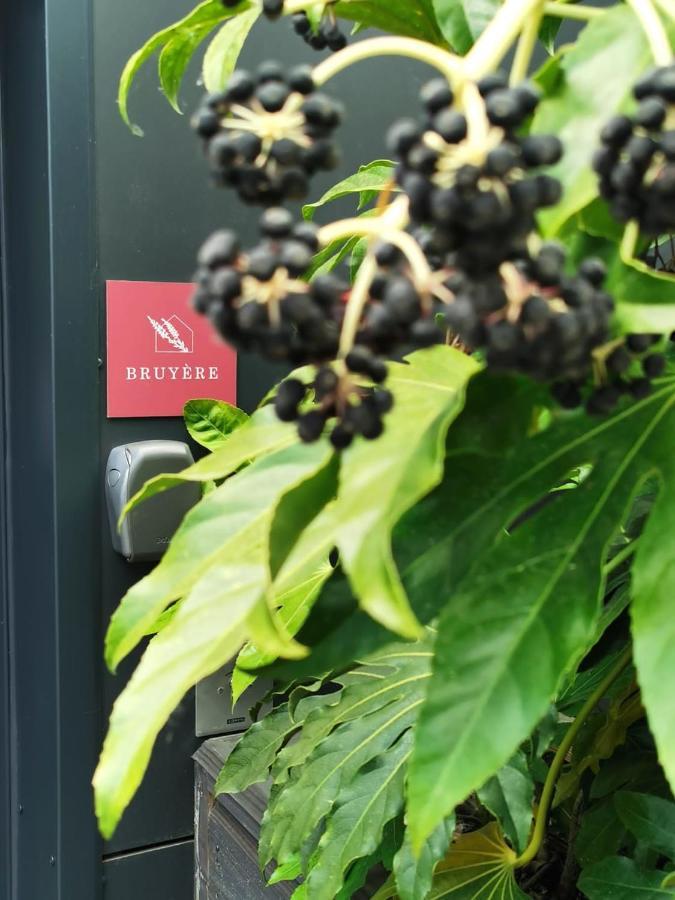 Cottages Du Valcoquet サン・ブルヴァン・レ・パン エクステリア 写真