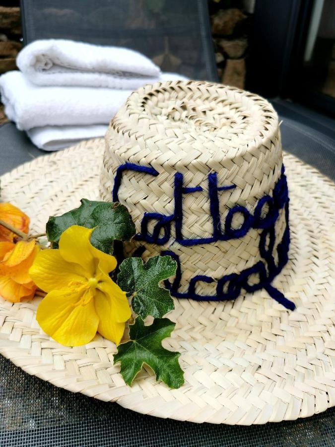 Cottages Du Valcoquet サン・ブルヴァン・レ・パン エクステリア 写真